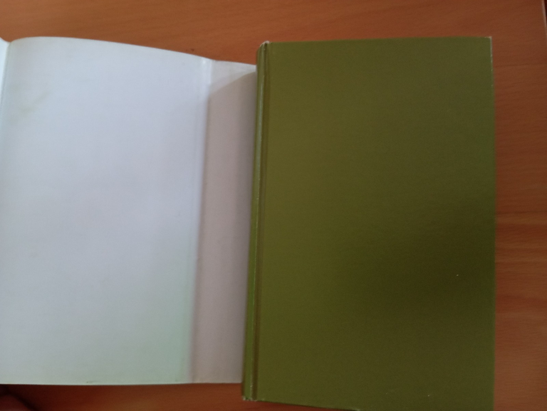 La mia vita fatta in casa, Molly Wizenberg, Mondadori, 2014 | Immagine Gallery 5