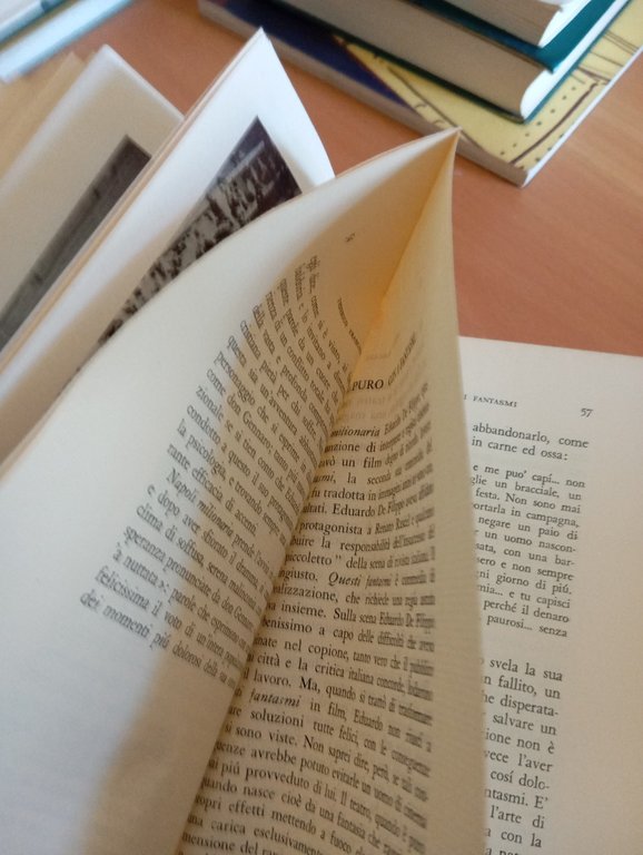 La Napoli amara di Eduardo De Filippo, Federico Frascani, Parenti, …