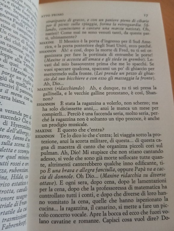 La notte dell'iguana, Tennessee Williams, Einaudi teatro, 1965