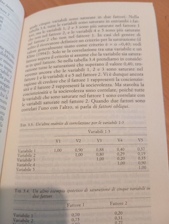 La personalità, Jo Brunas-Wagstraff, Il mulino, 1999