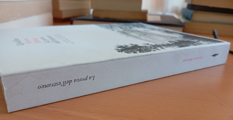 La prova dell'estraneo, Antoine Berman, Quodlibet, 1997 | Immagine Gallery 2