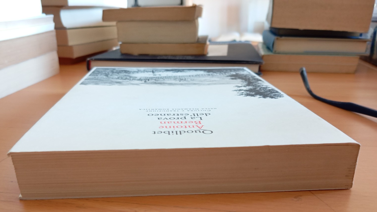 La prova dell'estraneo, Antoine Berman, Quodlibet, 1997 | Immagine Gallery 3