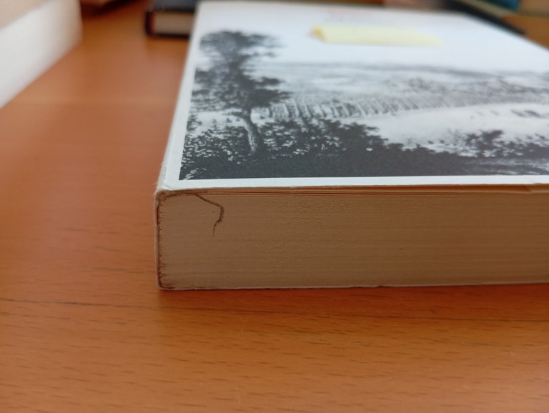 La prova dell'estraneo, Antoine Berman, Quodlibet, 1997 | Immagine Gallery 8