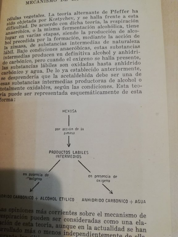 La respiracion de las plantas, W. Stiles - W. Leach, …