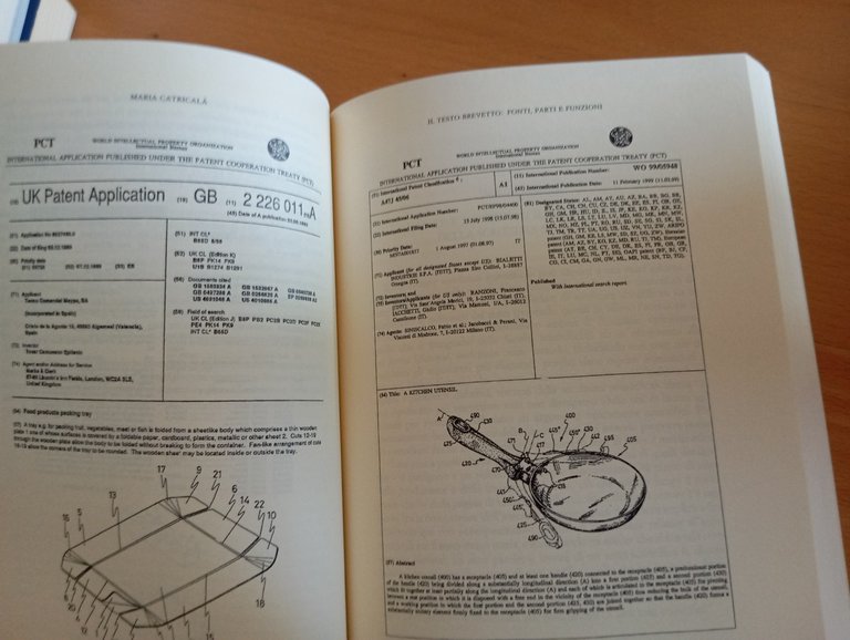 La scrittura professionale, ricerca, prassi, insegnamento, 2001, libro raro