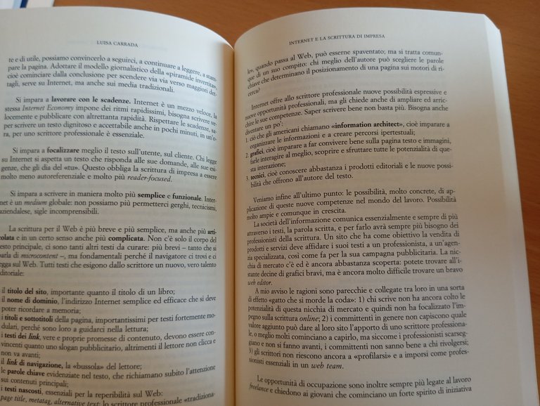 La scrittura professionale, ricerca, prassi, insegnamento, 2001, libro raro