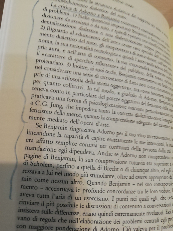 La scuola di Francoforte, Rolf Wiggershaus, Bollati Boringhieri, 1992, AFFARONE!