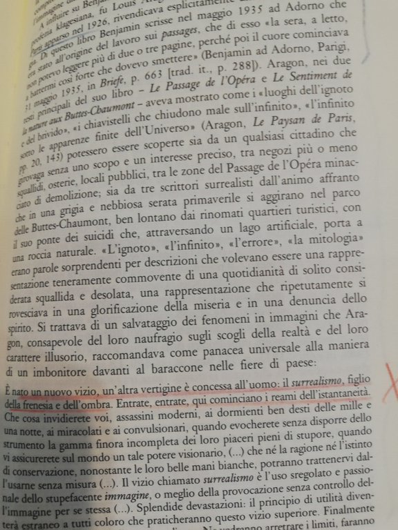 La scuola di Francoforte, Rolf Wiggershaus, Bollati Boringhieri, 1992, AFFARONE!