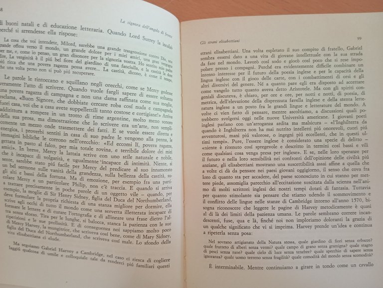 La signora dell'angolo di fronte, Virginia Woolf, 1979, Il Saggiatore | Immagine Gallery 10