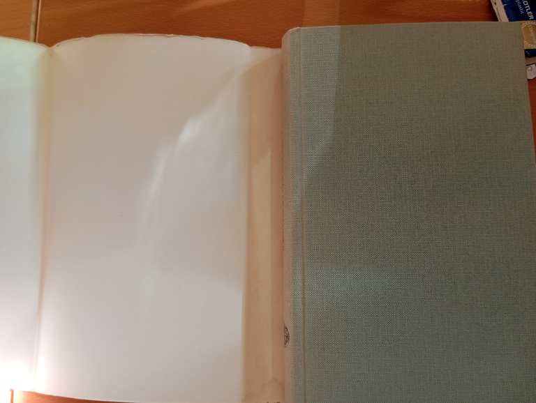 La strada delle Fiandre, Claude Simon, Einaudi, 1985