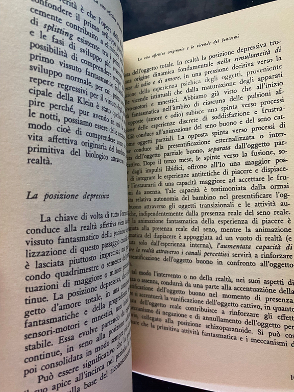 La vita affettiva originaria del bambino, Franco Fornari, Feltrinelli, 1986