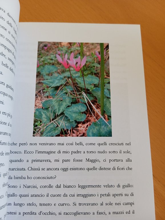 La vita attraverso i fiori, Marisa Moreschini, Primavera, 2010