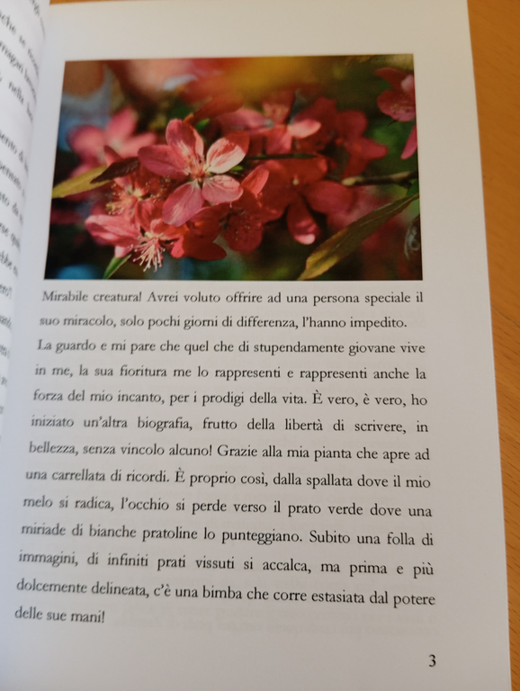 La vita attraverso i fiori, Marisa Moreschini, Primavera, 2010