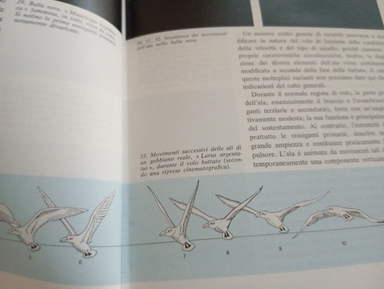 La vita degli uccelli, Jean Dorst, Garzanti, I libri della …