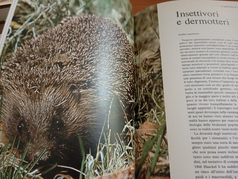 La vita dei mammiferi, due volumi, L. Harrison Matthews, Garzanti, …