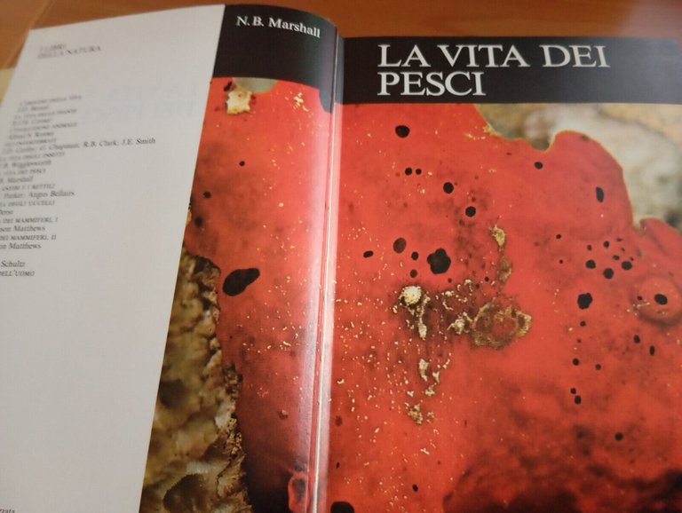 La vita dei pesci, N. B. Marshall, Garzanti, I grandi …