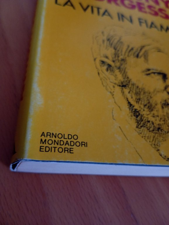 La vita in fiamme, Anthony Burgess, Mondadori, 1987