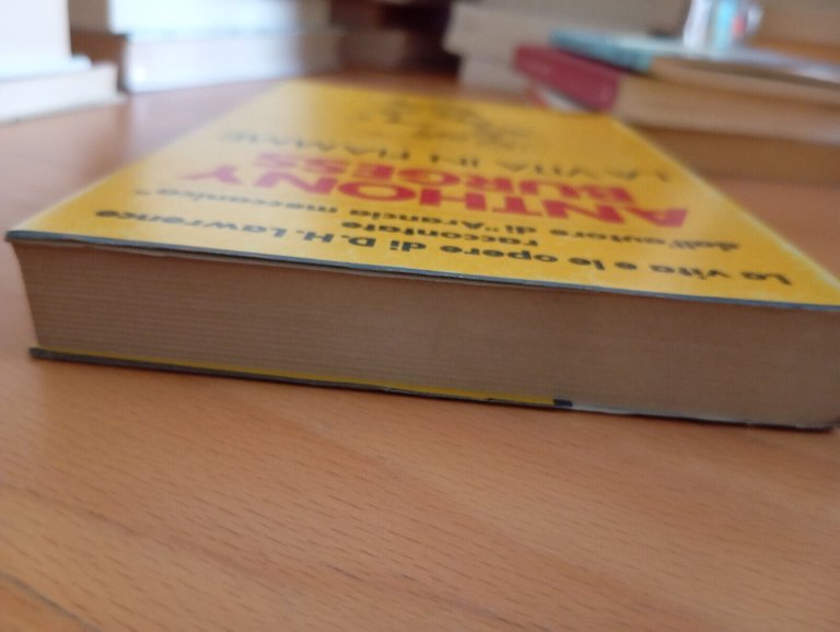 La vita in fiamme, Antony Burgess, Mondadori, 1987