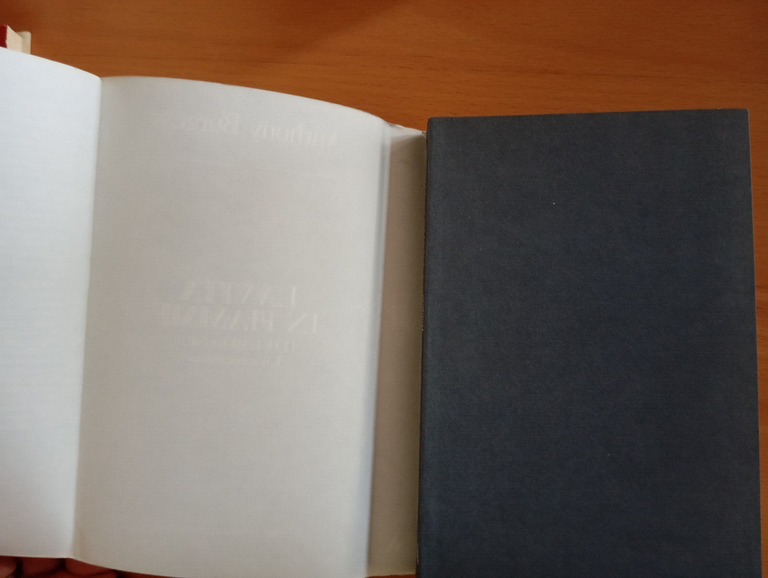 La vita in fiamme, Antony Burgess, Mondadori, 1987