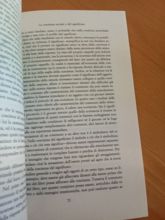 La voce della coscienza, George Herbert Mead, Jaca Book, 1996, …