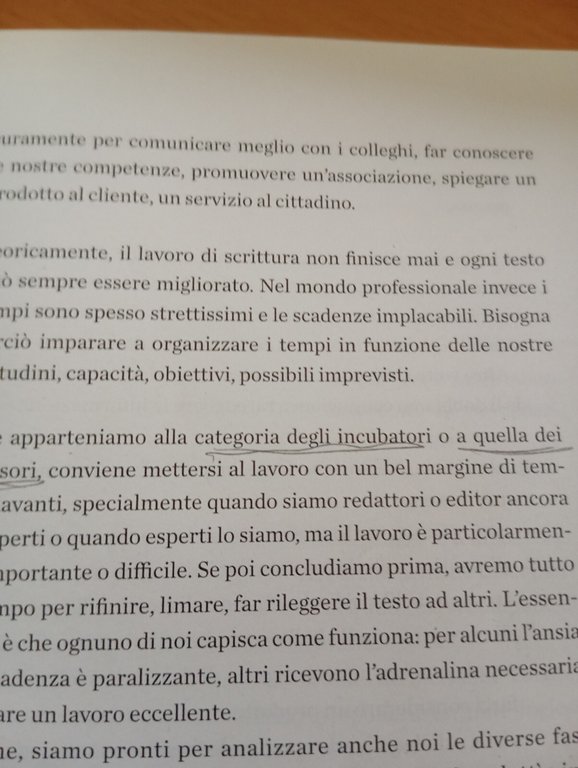 Lavoro, dunque scrivo!, Lusia Carrada, Zanichelli, 2012