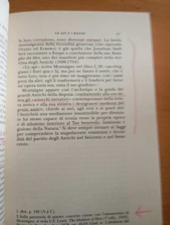 Le api e i ragni, Marc Fumaroli, Adelphi, 2005 | Immagine Gallery 10