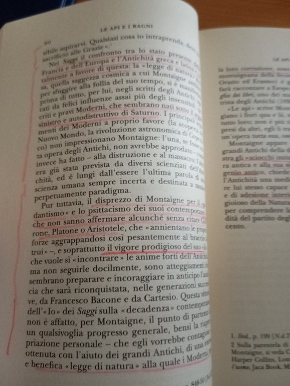 Le api e i ragni, Marc Fumaroli, Adelphi, 2005 | Immagine Gallery 11