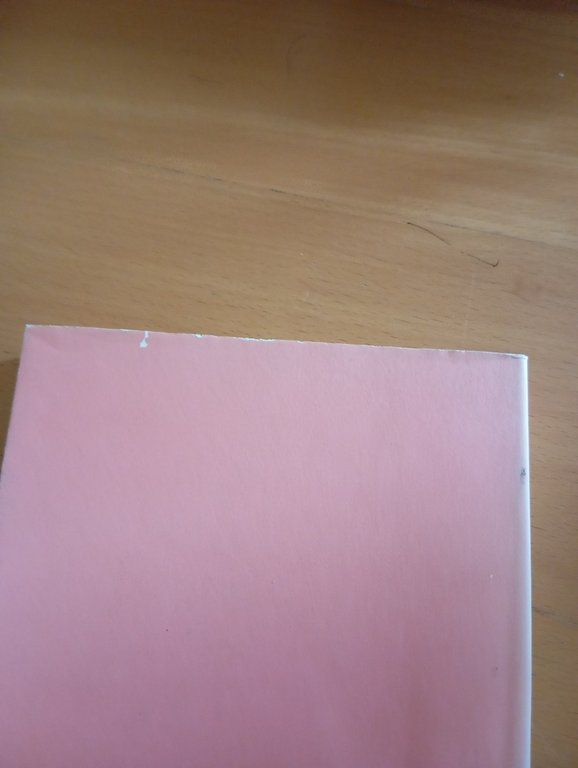 Le api e i ragni, Marc Fumaroli, Adelphi, 2005 | Immagine Gallery 5