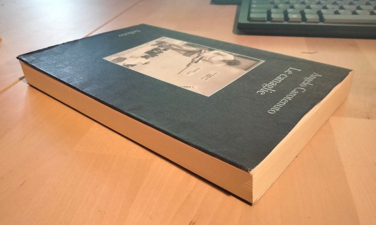 Le canaglie, Angelo Carotenuto, Sellerio, 2020