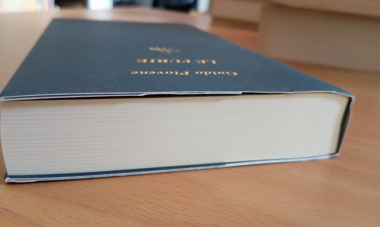 Le furie, Guido Piovene, Nino Aragno Editore, Postfazione G. Ceronetti, …