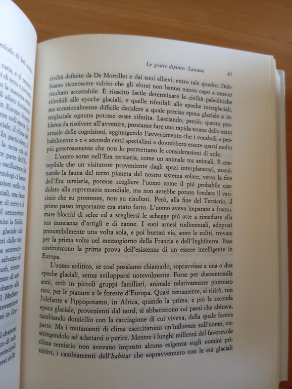 Le navi dei vichinghi, Geoffrey Bibby, Einaudi, 1960? | Immagine Gallery 9