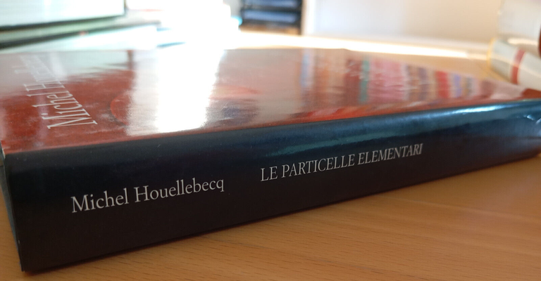 Le particelle elementari, Michel Houellebecq, Mondolibri, 1999