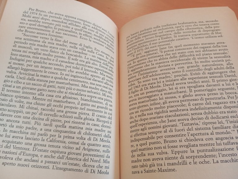 Le particelle elementari, Michel Houellebecq, Mondolibri, 1999