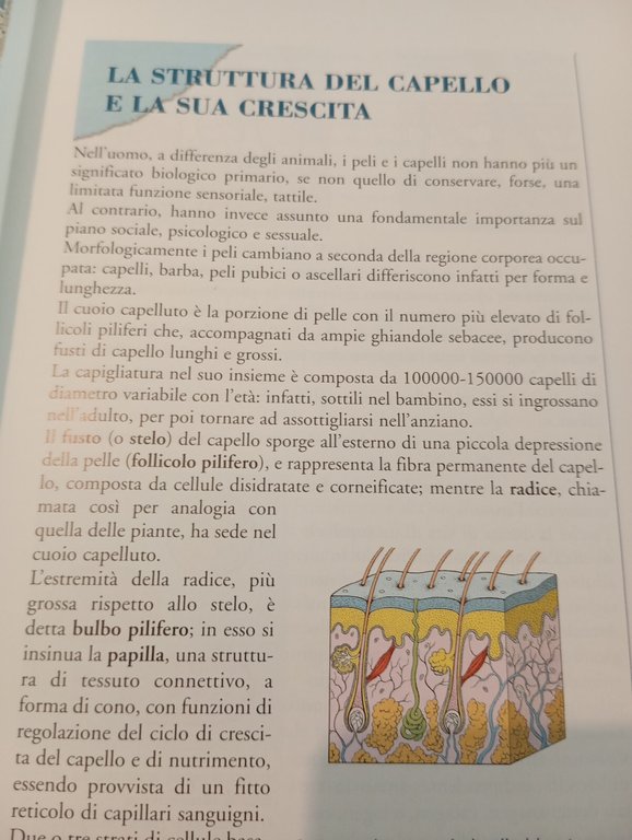 Le piante tintorie nella colorazione dei capelli, Mearelli - Giogli, …
