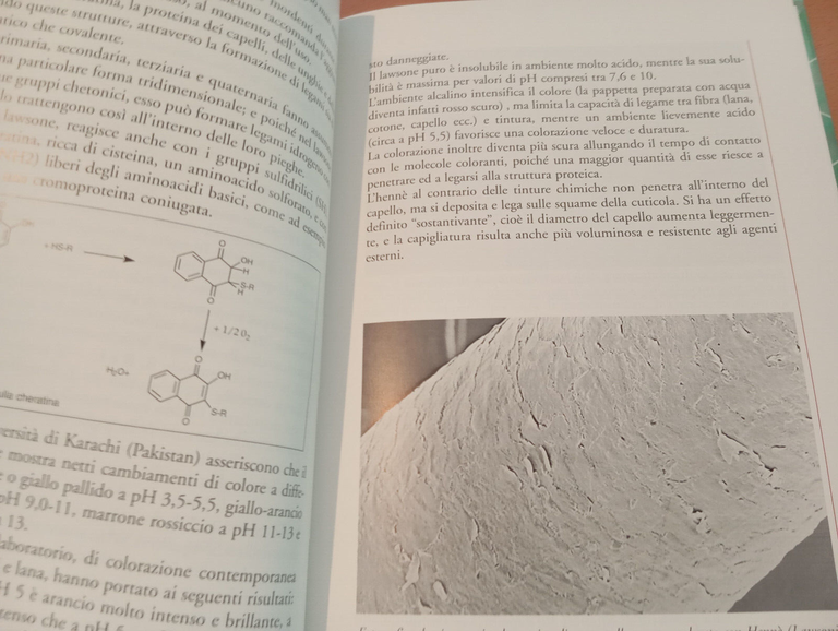 Le piante tintorie nella colorazione dei capelli, Mearelli - Giogli, …