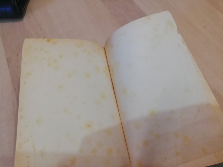 Le rocce, Prof. E. Artini, Hoepli, 1941 | Immagine Gallery 9