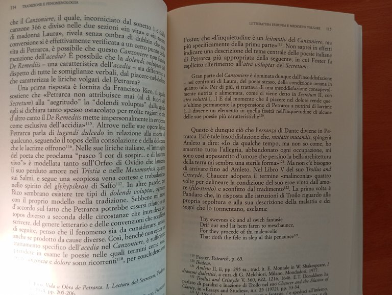 Letteratura europea e Medioevo volgare, Piero Boitani, Il Mulino, 2007