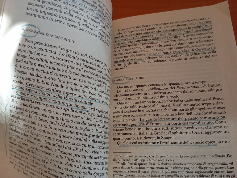 Lezioni sul Don Chisciotte, Vladimir Nabokov, Garzanti, 1989, molto raro