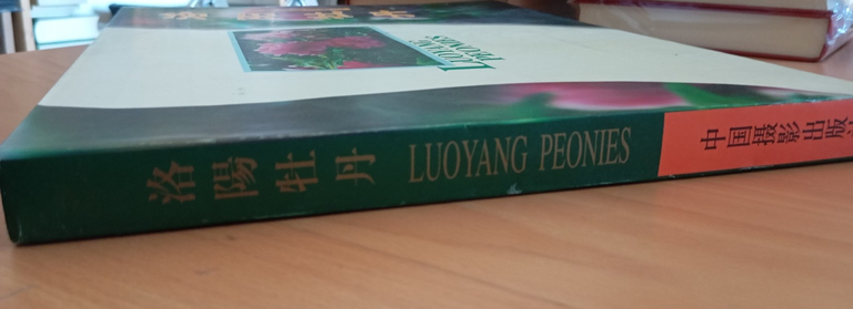 Libro fotografico raro "Luoyang Peonies" Cina 2001 | Immagine Gallery 2