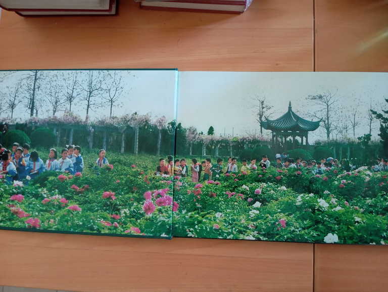 Libro fotografico raro "Luoyang Peonies" Cina 2001 | Immagine Gallery 6