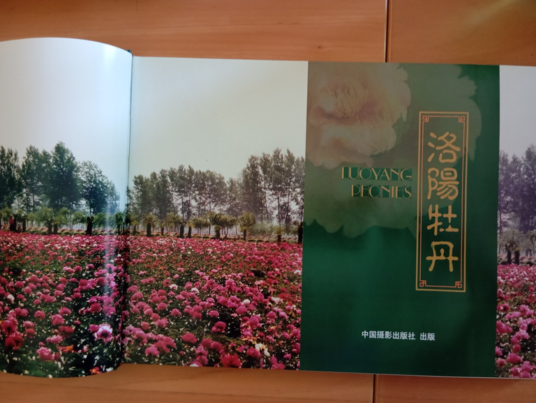Libro fotografico raro "Luoyang Peonies" Cina 2001 | Immagine Gallery 7