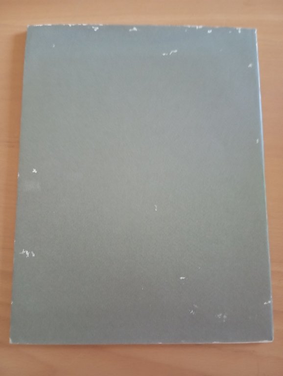 Lily Salvo, Opere recenti, Edizioni Arco Farnese, 1990 | Immagine Gallery 5