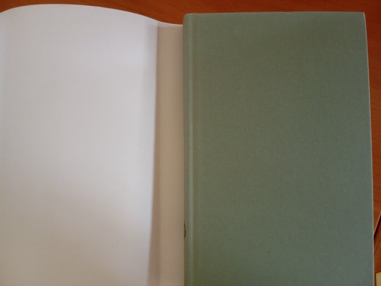 Lionel Asbo, Martin Amis, Einaudi Supercoralli, 2013, prima edizione