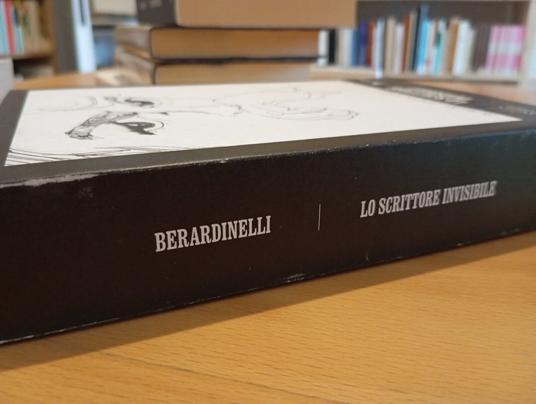 Lo scrittore invisibile. Alfonso Berardinelli recensito e intervistato, 2013