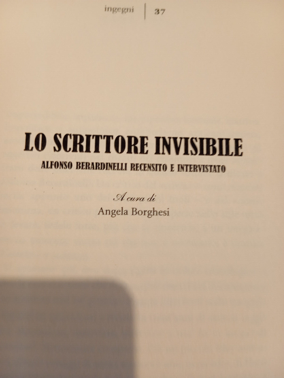 Lo scrittore invisibile. Alfonso Berardinelli recensito e intervistato, 2013