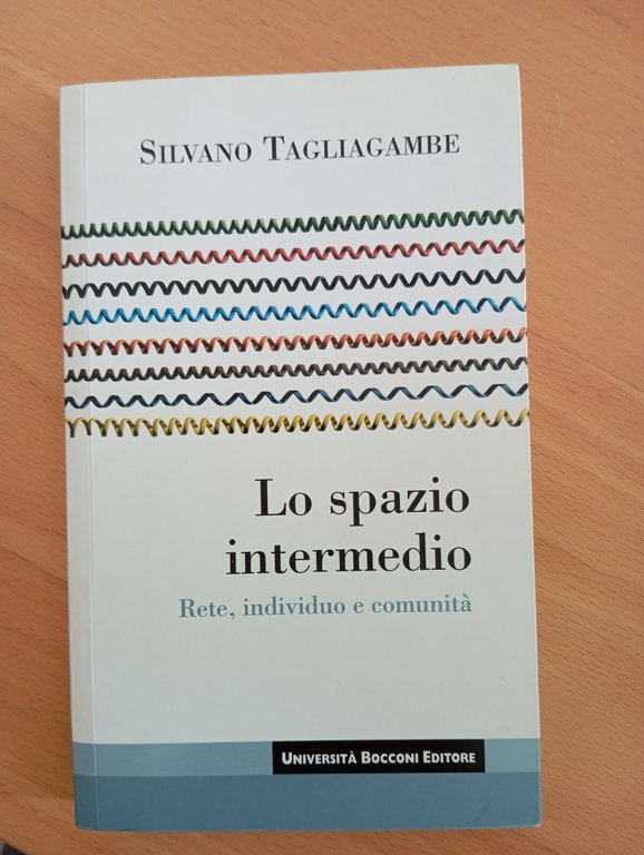 Lo spazio intermedio. Rete, individuo, comunità, Silvano Tagliagambe, EGEA, 2008 | Immagine Gallery 1
