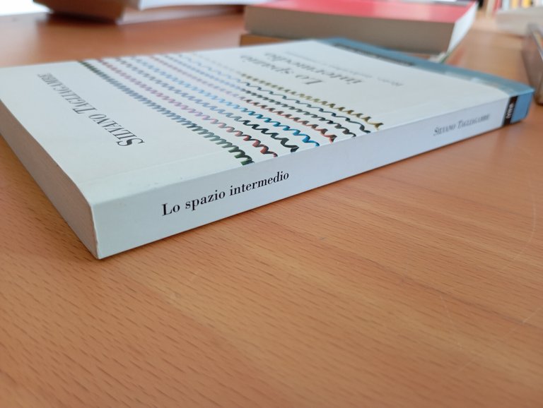 Lo spazio intermedio. Rete, individuo, comunità, Silvano Tagliagambe, EGEA, 2008