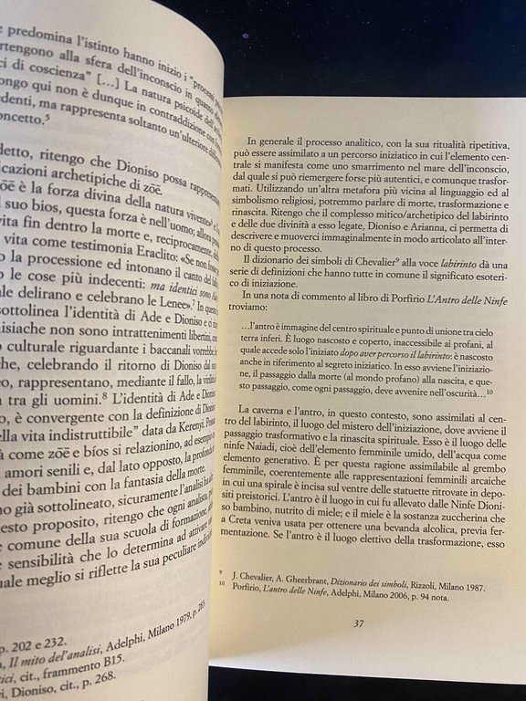 Lo specchio di Dioniso, Ugo Fama, Moretti & Vitali, 2005