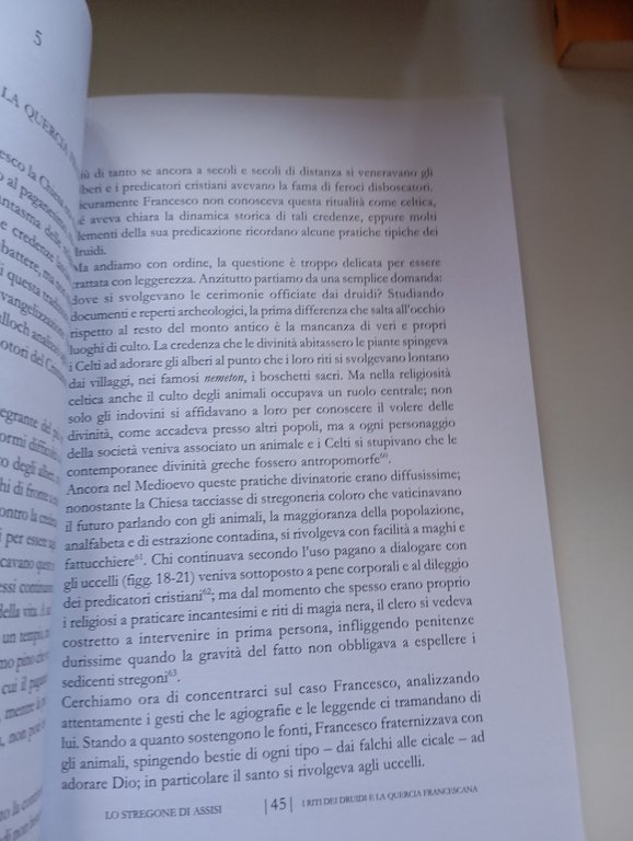 Lo stregone di Assisi, Andrea Armati, Eleusi Edizioni, 2008