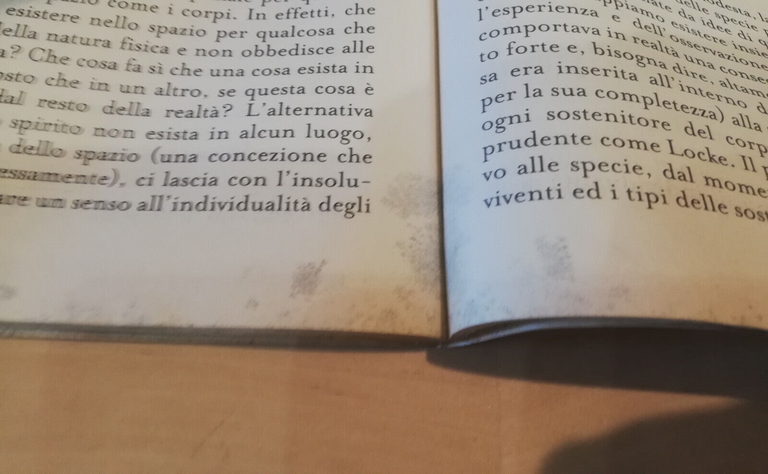 Locke, Michael Ayers, Sansoni, 1998